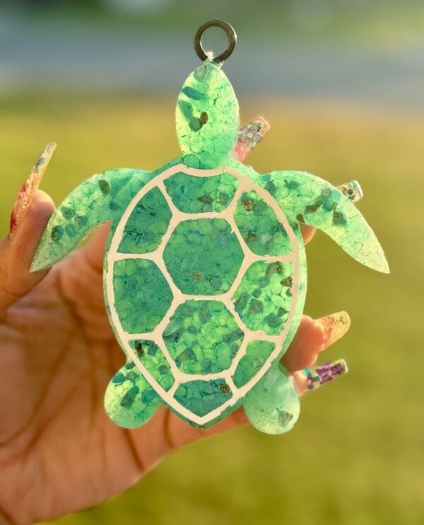 Turtle Freshie
