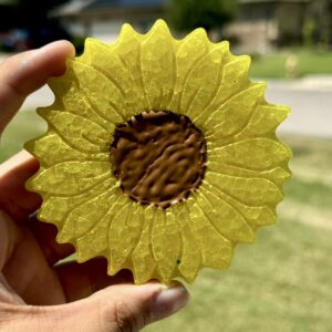 Flower Freshie