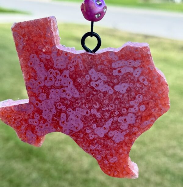 Texas Freshie - Image 2