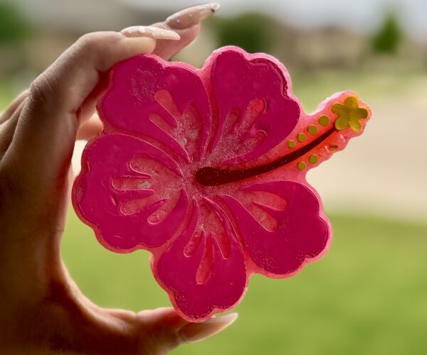 Hibiscus Freshie
