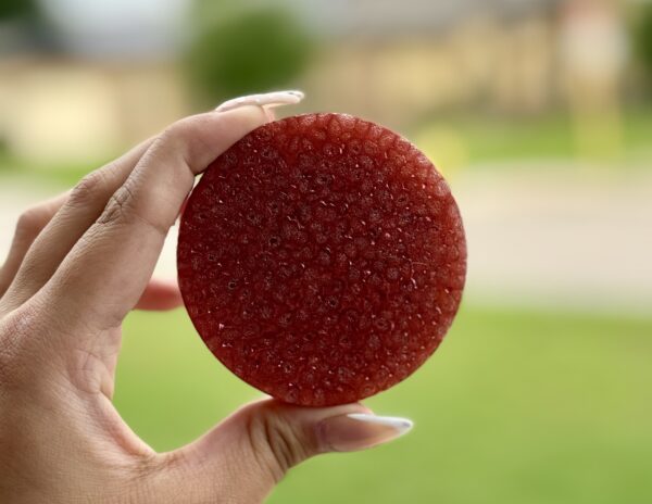 Circle Freshie - Image 3