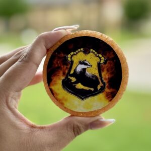 Circle Freshie - Harry Potter